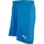 Puma Mens Czech Republic Shorts Puma Royal