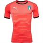 Puma Mens FIGC Italy evoKNIT Goalkeeper Jersey Poinsettia