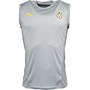 Puma Herrer GFA Ghana Fodboldtrøje Grå