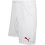 Puma Mens Switzerland Shorts Puma White