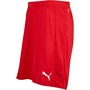 Puma Herrer Switzerland Tights Rød