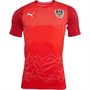Puma Herren Austria evoKNIT Home Fußball Trikots Rot