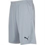 Puma Herren Austria Fußball Shorts Grau