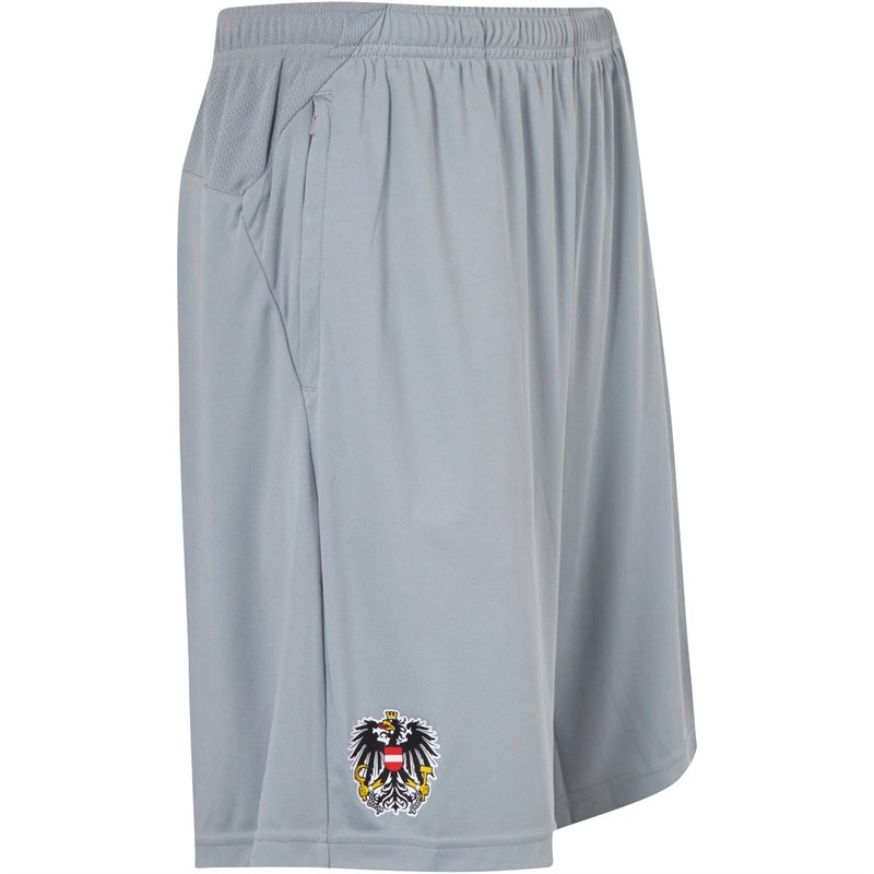 Puma Herren Austria Fußball Shorts Grau