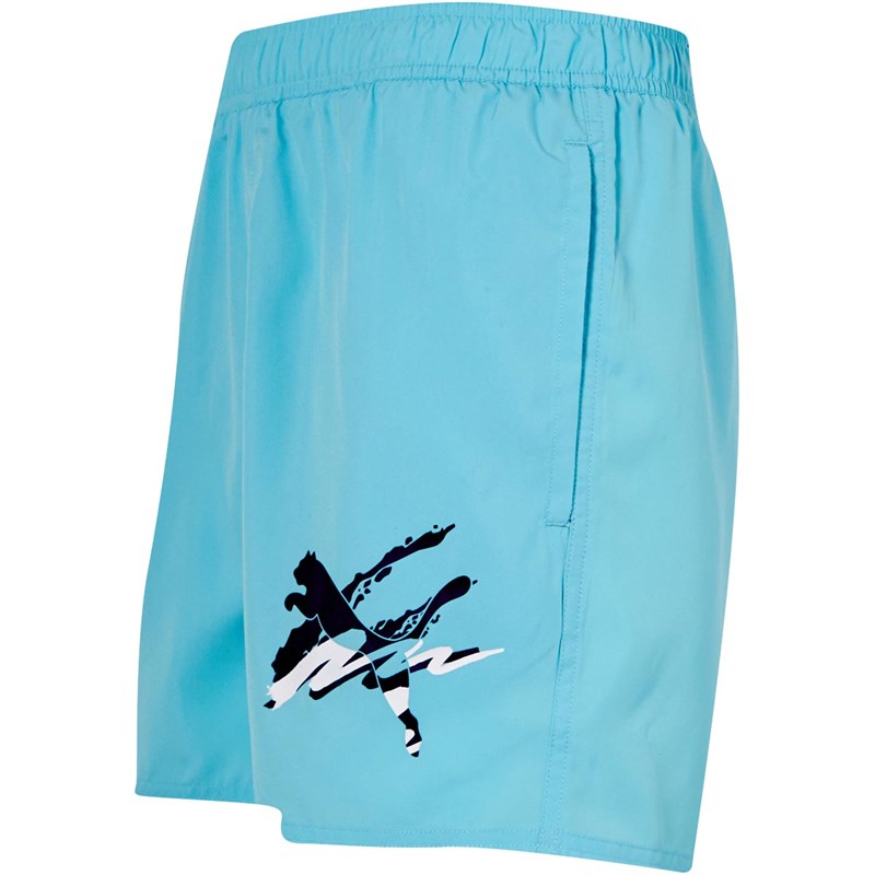 Puma Mens Essentials+ Summer Graphic Shorts Angel Blue