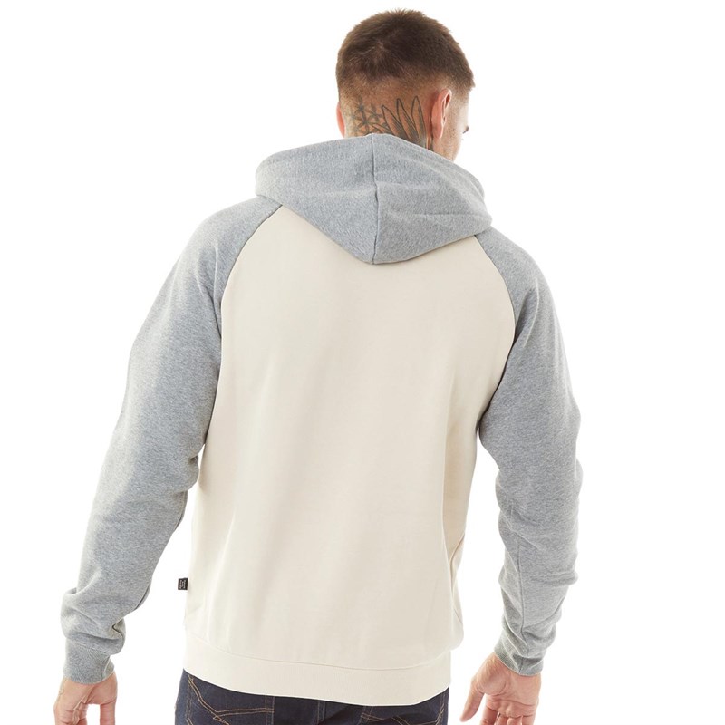 Puma Sweats à Capuche Raglan Homme Multicolore