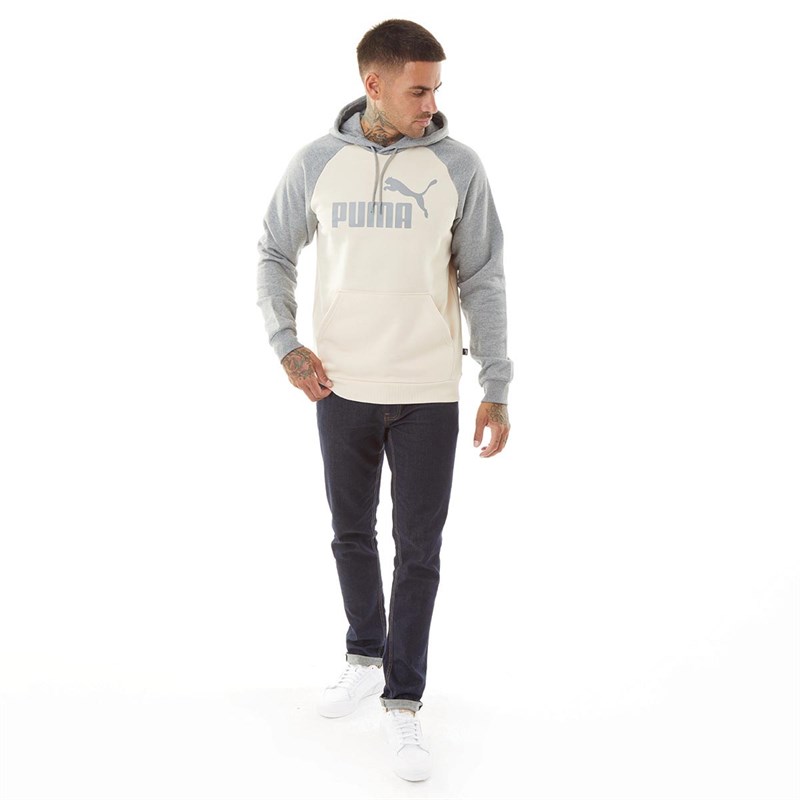 Puma Sweats à Capuche Raglan Homme Multicolore