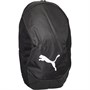 Puma teamFINAL 21 Backpack Black