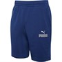 Puma Shorts Graphic Homme Bleu