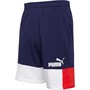 Puma Heren Essentials+ Block 10 Jersey shorts Blauw