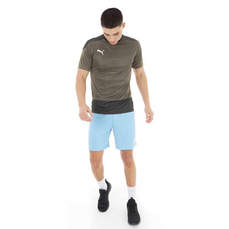 Puma Mens Teamgoal 23 Training Jersey Grey/Asphalt