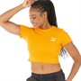 Puma Dame Classics Acid Brights Lettuce Edge Overdele Orange