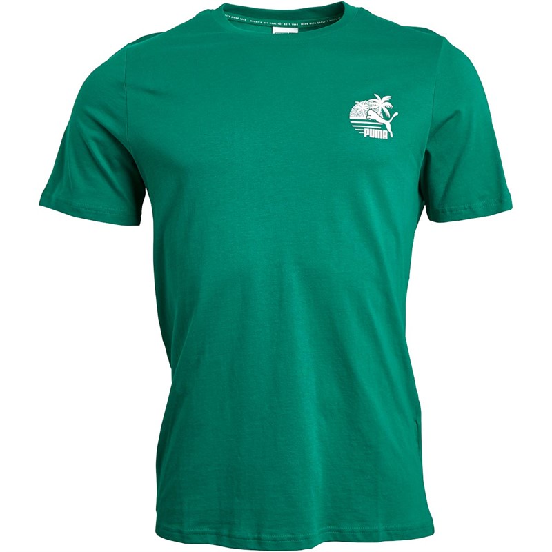 Puma T-Shirts Classics Small Logo Graphic Homme Vert