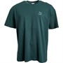 Puma T-Shirts Classics Safari Graphic Homme Vert