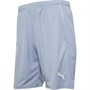 Puma Heren Sportperformance shorts Blauw
