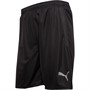 Puma Heren Sportperformance shorts Grijs