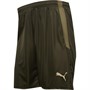 Puma Heren Sportperformance shorts Groen