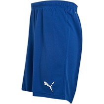 Puma Herre IndividualRISE Sport træningsshorts Blå