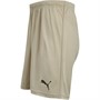 Puma Shorts de Sport Performants IndividualRISE Homme Multicolore