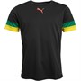 Puma Hauts de Sport Performants Teamrise Black/Dandelion Amazon Homme Multicolore