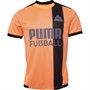 Puma Mens Fussball Park Jersey Orange/Black