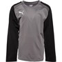 Puma Kids Teamliga Training Sweatshirt Smoked Pearl