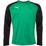 Puma Mens Teamliga Training Sweatshirt Pepper Green