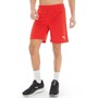 Puma Herre teamRISE Sport træningsshorts Rød