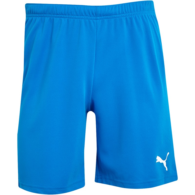 Puma Mens teamRISE Training Shorts Electric Blue Lemonade/Puma White