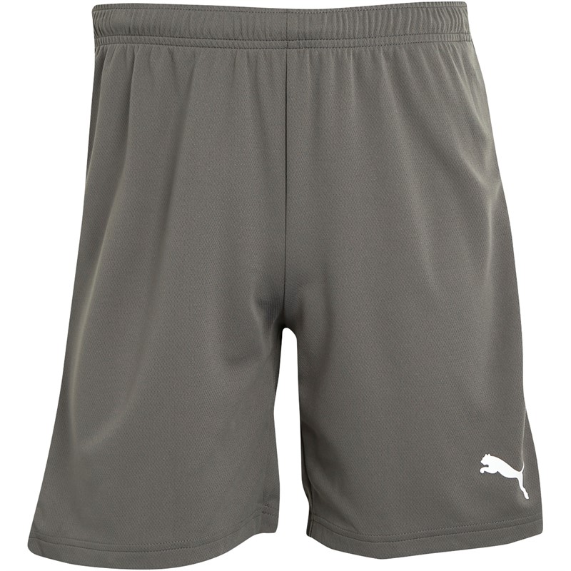 Puma Mens teamRISE Training Shorts Smoked Pearl/Puma White