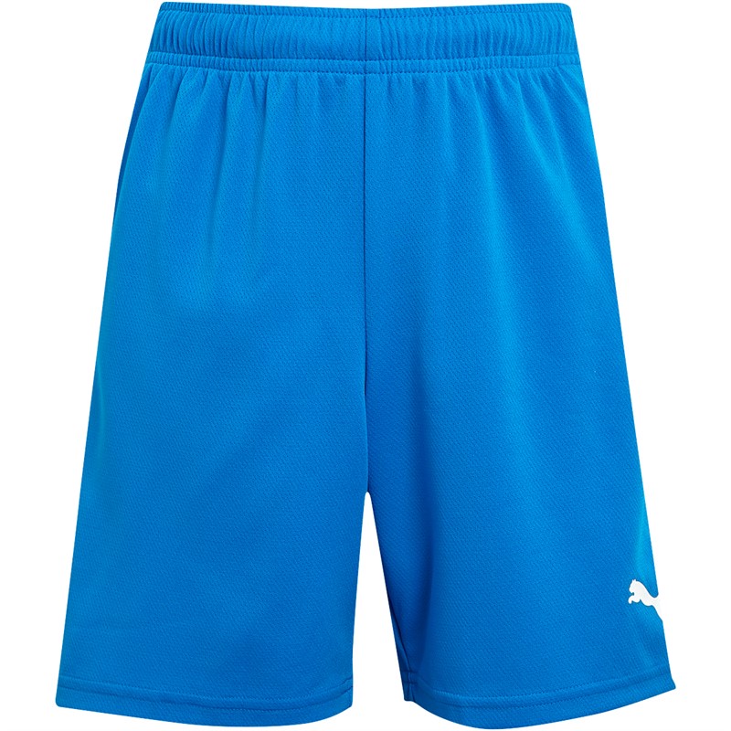 Puma Boys Teamrise Training Shorts Electric Blue Lemonade/Puma White