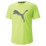 Puma Hauts de Sport Performants Run dryCELL Logo Homme Vert