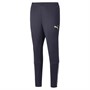Puma Pantalons de Sport Performants Teamliga Homme Bleu
