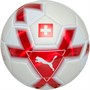 Puma Ballons de Foot SFV Cage Unisexe Blanc