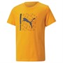 Puma T-Shirts Active Sports Garçon Orange