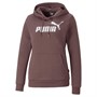 Puma Sweats à Capuche Essentials Logo Femme Violet