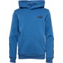 Puma Chłopięce Essentials Bluzy z kapturami Niebieski