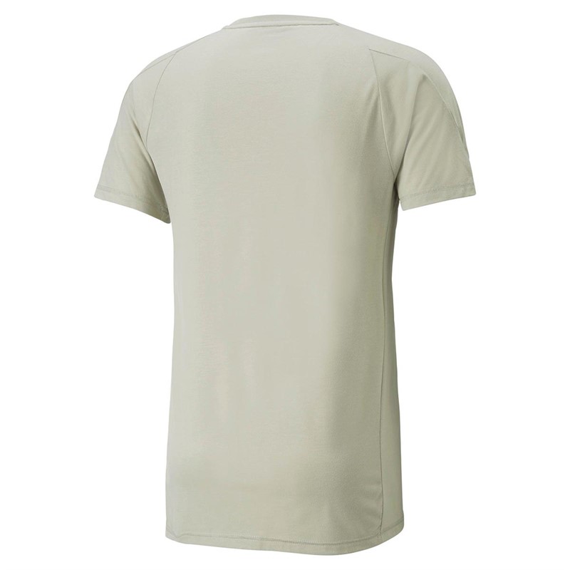 Puma Heren Evostripe T-shirts Grijs