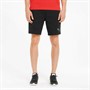 Puma Heren Evostripe Shorts Zwart