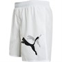 Puma Mens Essentials+ Logo Power Cat 5 Inch Shorts Puma White