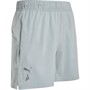 Puma Mens Seasons Drycell Lightweight 5 Inch Trail Running Shorts Platinum Grey