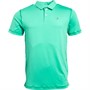 Puma Herre X Palm Tree Golf Kortærmet poloer Grøn
