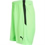 Puma Mens Teamliga Shorts Fizzy Lime