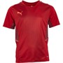 Puma Boys Cup Graphic Training Top Chilli Pepper/Cordovan/Red Blast