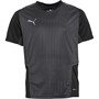 Puma Boys Cup Graphic Training Top Black/Smoked Pearl/Asphalt