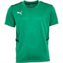 Puma Boys Cup Jersey Pepper Green