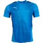 Puma Mens Cup Graphic Training Top Ignite Blue/Limoges/Luminous Blue