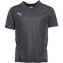 Puma Boys Cup Graphic Training Top Asphalt/Ebony/Smocked Pearl