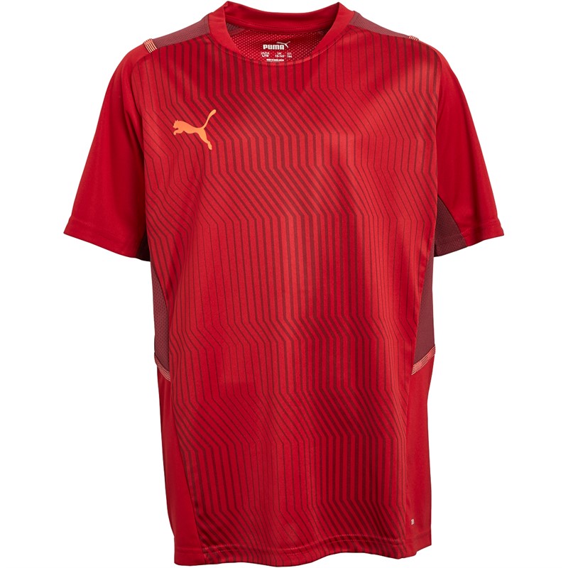 Puma Junior Boys Cup Graphic Training Top Chilli Pepper/Cordovan/Red Blast