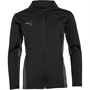 Puma Boys Cup Training Jacket Black/Smoked Pearl/Asphalt